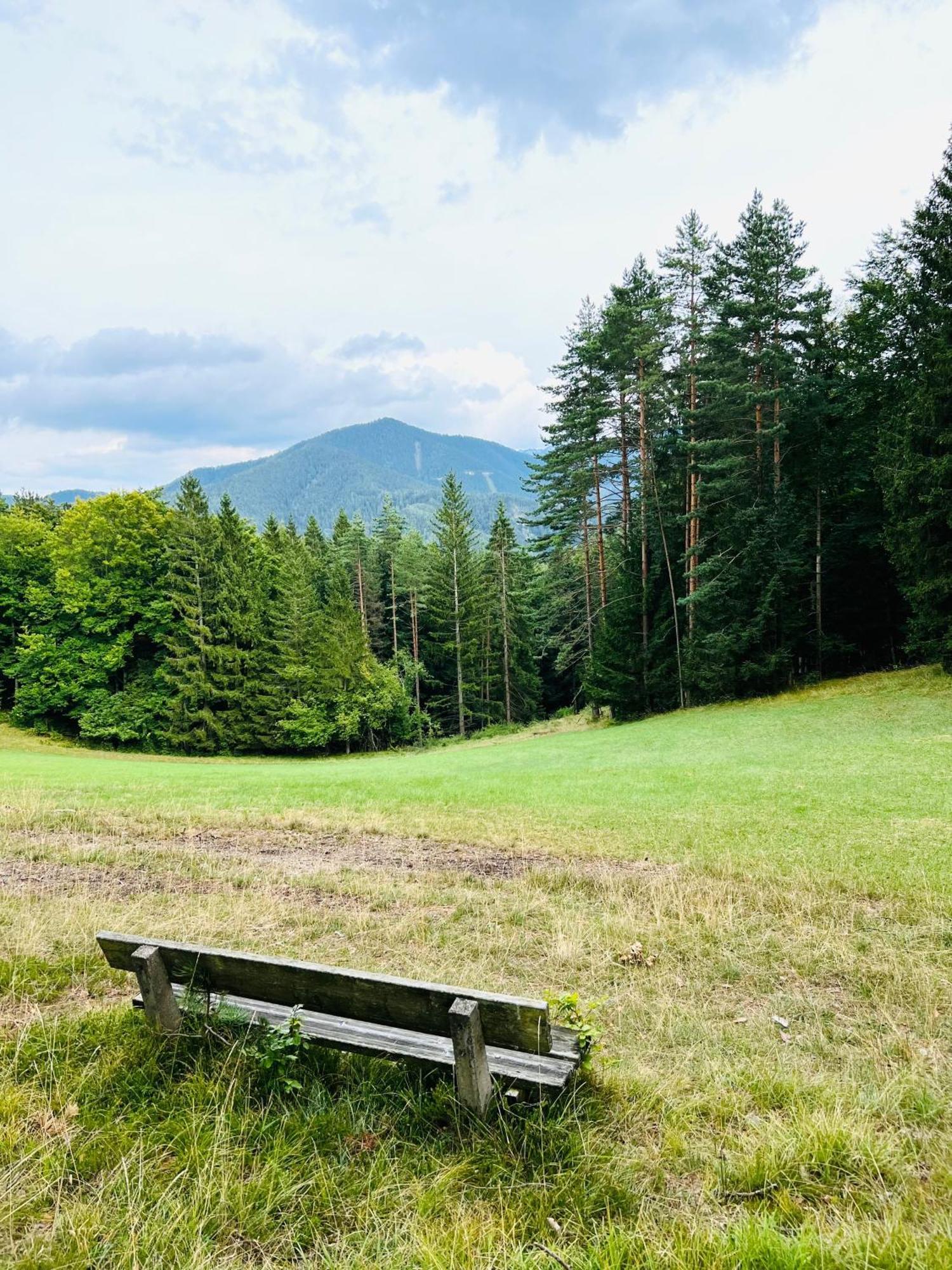 Dorfpension Mariahilfberg Gutenstein Εξωτερικό φωτογραφία